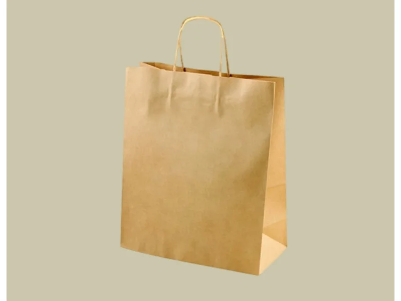 2025 Kraft Delivery Bags 7