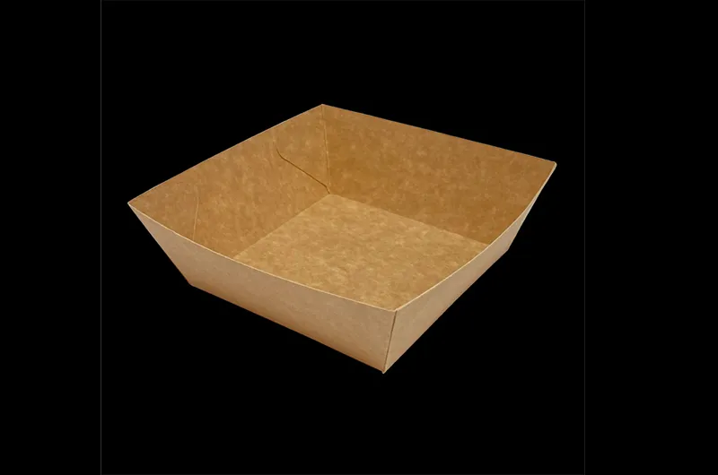 Take away compostable medium paper tray